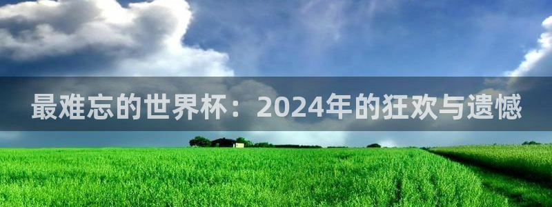 2026世界杯南美区积分榜:最难忘的世界杯:2024年的狂欢与遗憾