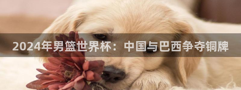 世界直播:2024年男篮世界杯:中国与巴西争夺铜牌