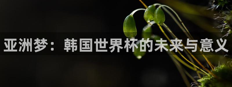 世界杯比赛赛程:亚洲梦:韩国世界杯的未来与意义