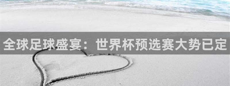 世界杯足球比赛:全球足球盛宴:世界杯预选赛大势已定
