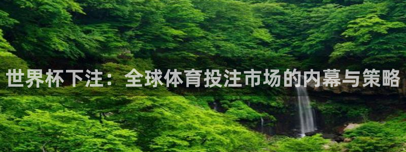 世界杯预选赛欧洲区赛程:世界杯下注:全球体育投注市场的内幕与策略