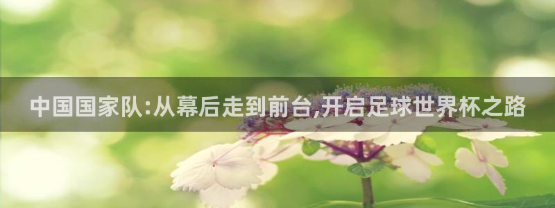 2026世界杯亚洲预选赛赛程:中国国家队:从幕后走到前台,开启足球世界杯之路
