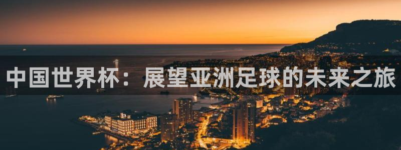 欧洲区世界杯预选赛:中国世界杯:展望亚洲足球的未来之旅