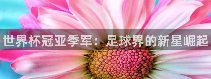 世界杯赛程表2026:世界杯冠亚季军:足球界的新星崛起
